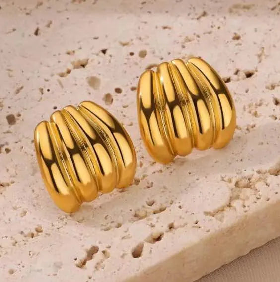 Brioche Earrings For Women